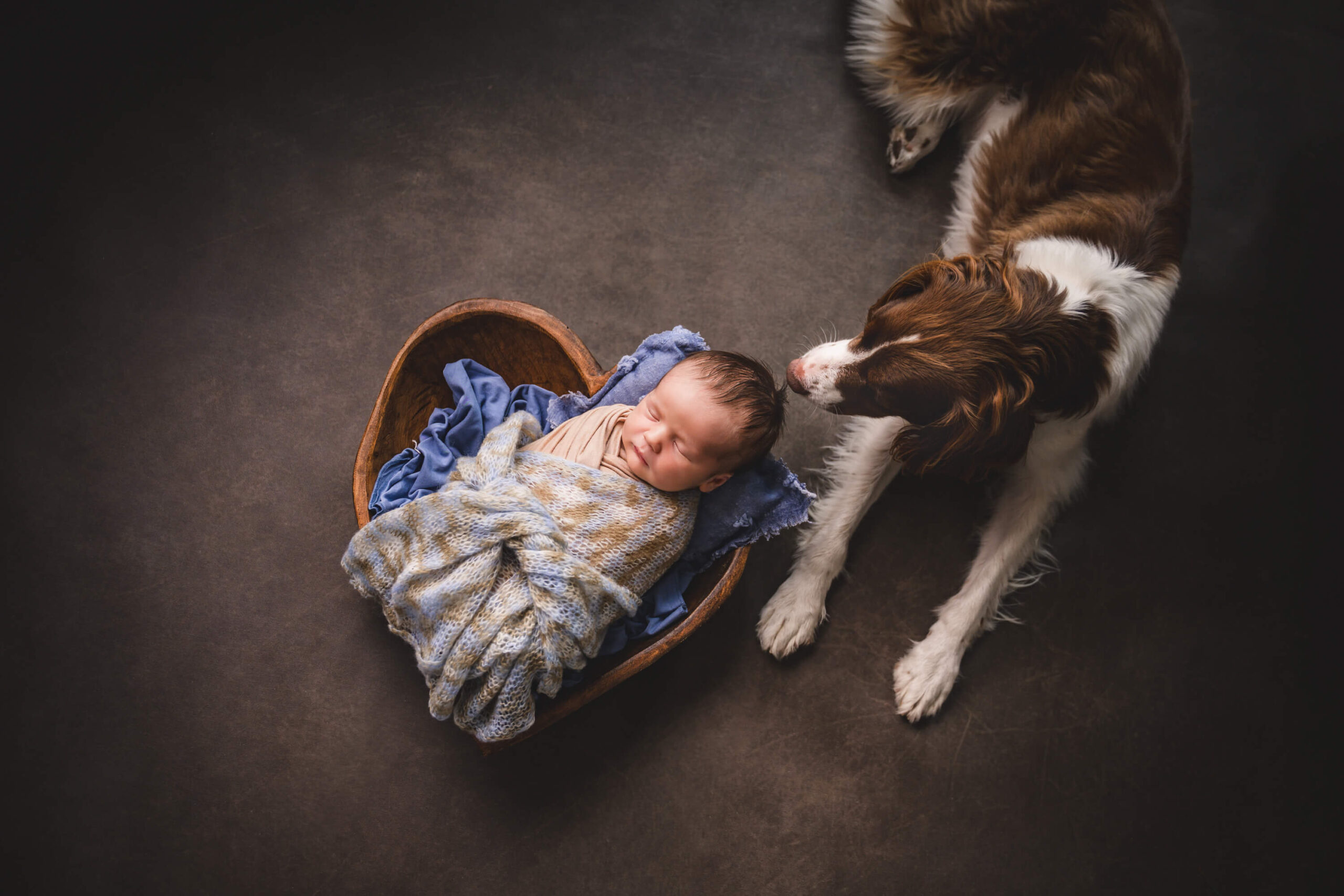 a dog lays ont he floor sniffing the head of a sleeping newborn baby in a wooden heart shaped bowl after meeting nannies in san francisco